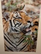 Wildlife Photographers Johnathan and Angie Scott Hand signed 12x8 Colour Photo in wooden frame.