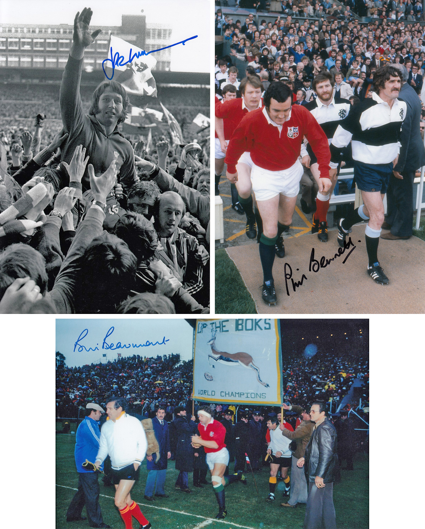 Autographed RUGBY 12 x 8 photos - A superb lot of signed images to include British and Irish Lions