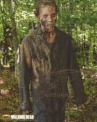 The Walking Dead TV horror series photo signed by actor Kent Wagner. Good condition. All