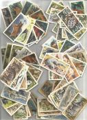 Brooke Bond Tea Cards Asian Wildlife And African Wildlife Approx 100 Cards. Good condition. We
