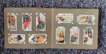 Curious beaks 1929 and sportsmen spot the winners 1937 cigarette cards in album. Good condition.