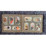 Curious beaks 1929 and sportsmen spot the winners 1937 cigarette cards in album. Good condition.