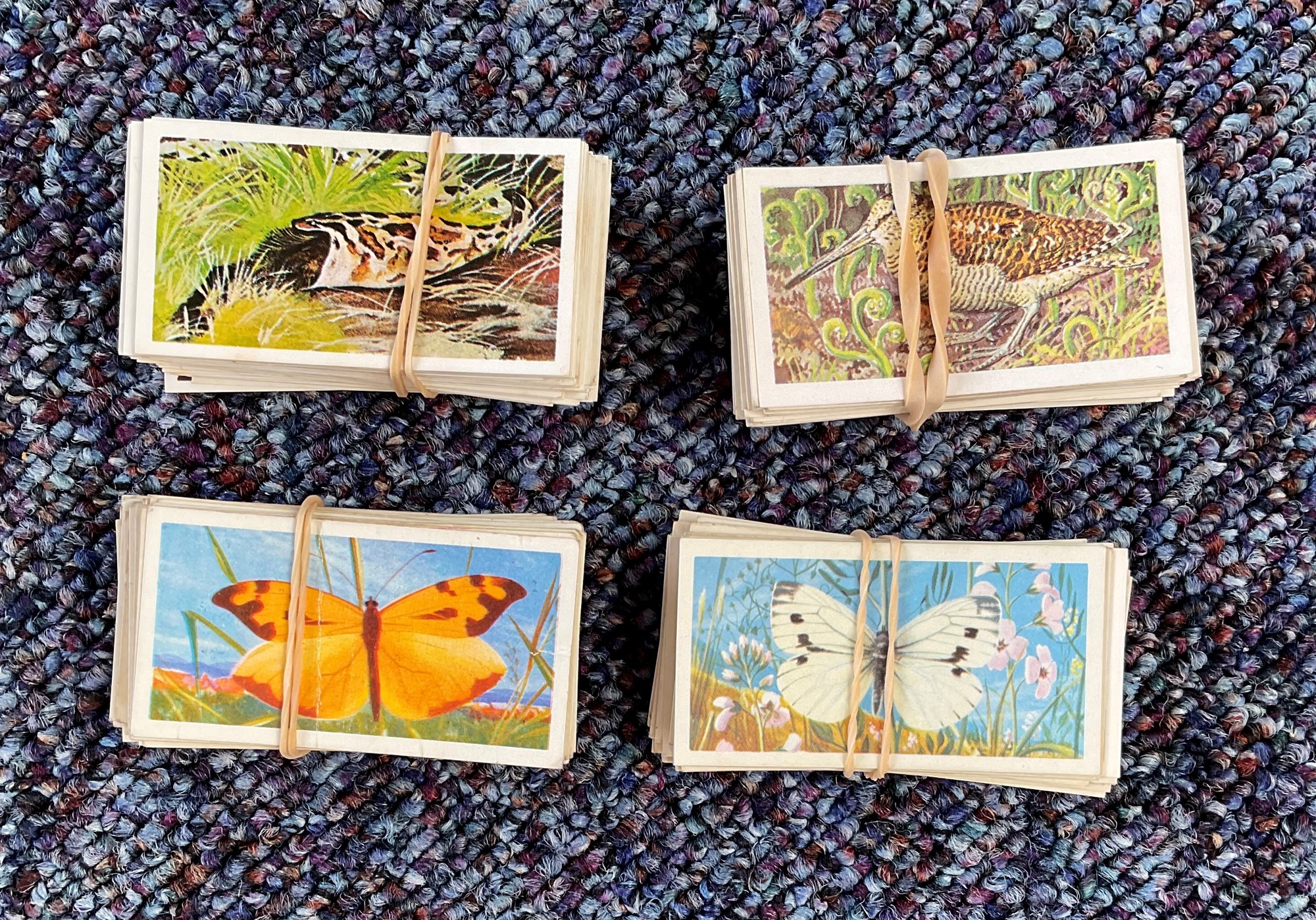 Tea card collection. 222 cards in total some duplication. Subjects include British butterflies, wild