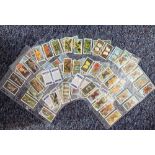 Brooke bond tea card collection in pockets. 171 cards including British butterflies, butterflies