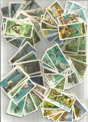 Brooke Bond Tea Cards Bundle Including Adventurers And Explorers Approx 200. Good condition. We