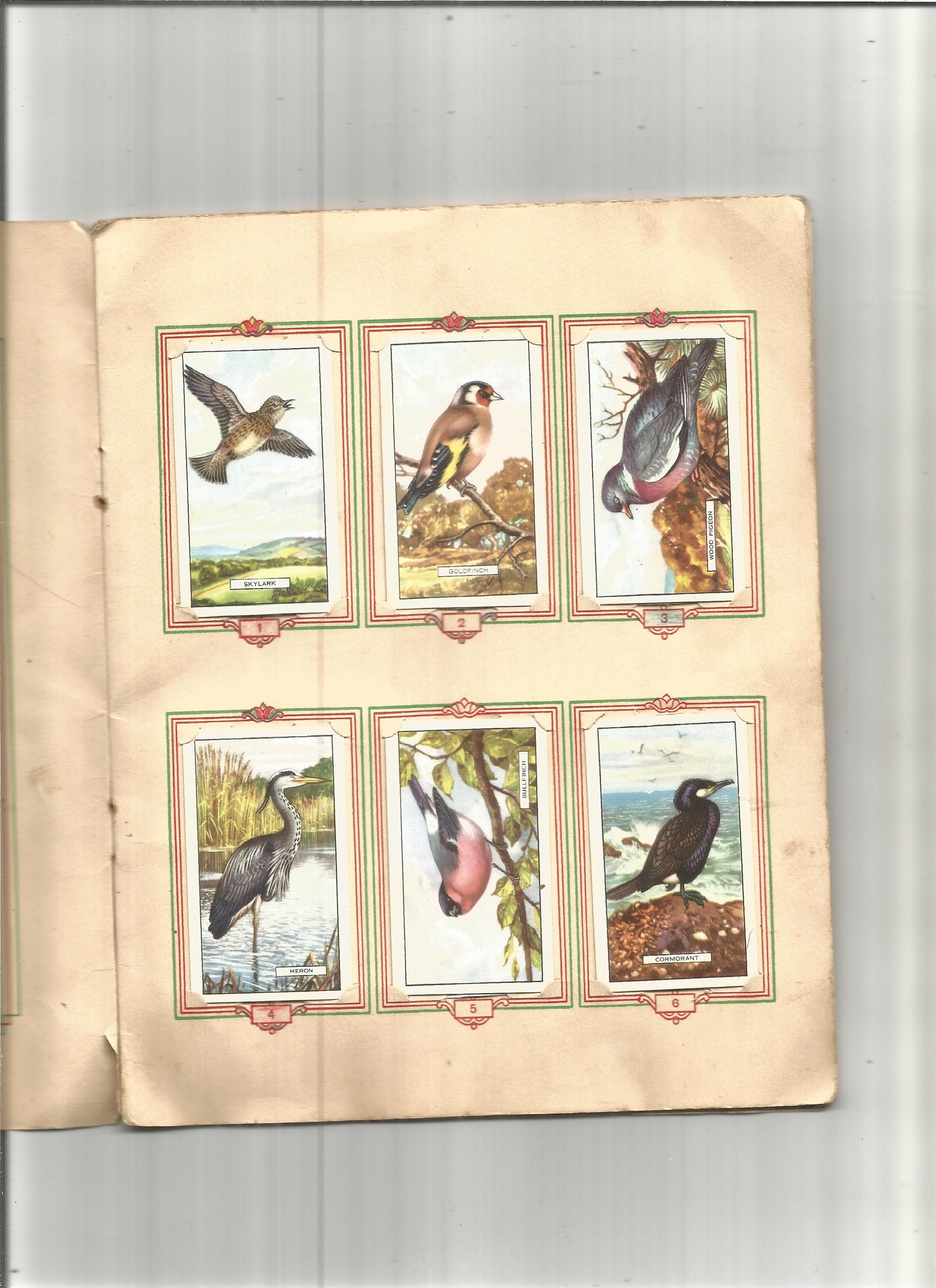Full Set Of Park Drive Cigarette Cards British Birds By Gallaher In Album. Good condition. We - Image 2 of 2