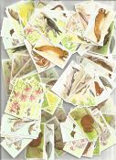 Brooke Bond Tea Cards British Butterflies, Butterflies Of The World And A Journey Downstream