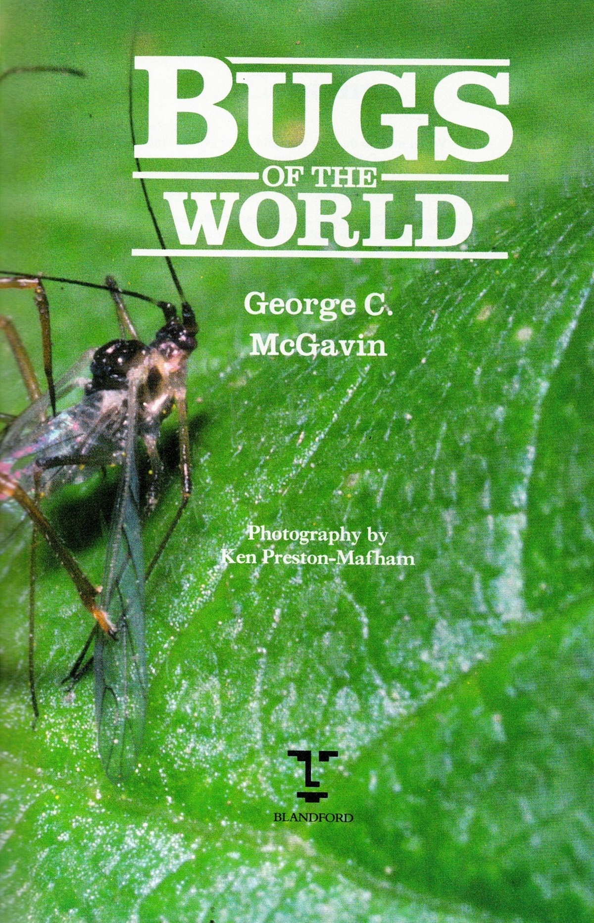 Bugs of the World by George C McGavin Hardback Book 1993 First Edition published by Blandford ( - Image 3 of 6