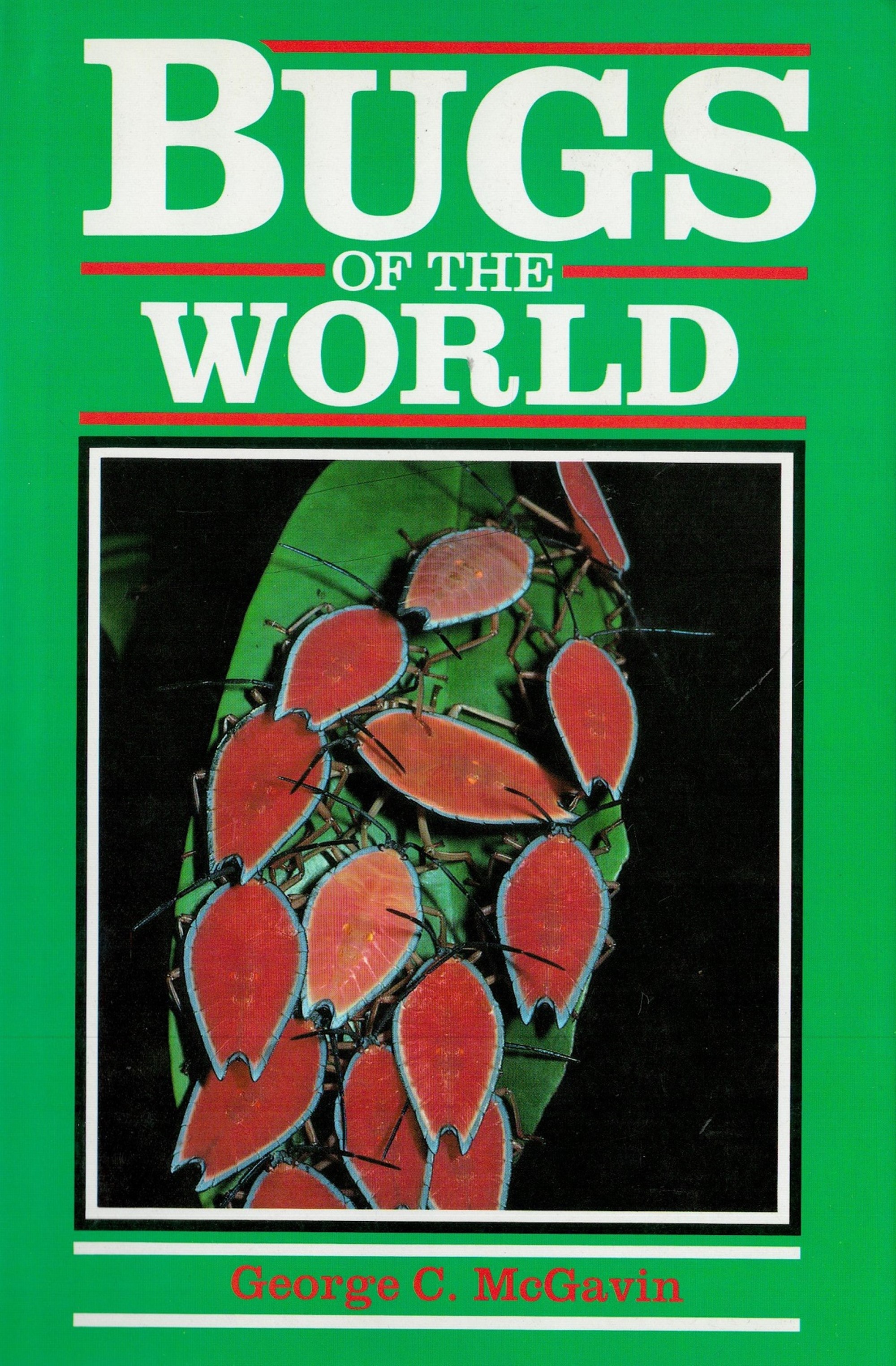 Bugs of the World by George C McGavin Hardback Book 1993 First Edition published by Blandford ( - Image 2 of 6