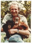 David Shepherd OBE FRSA signature on 5 x 7 colour photo of him holding chimpanzee and orangutan