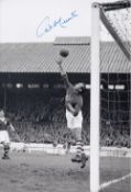 Autographed Gil Merrick 12 X 8 Photo - B/W, Depicting A Superb Image Showing The Birmingham City