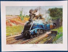 Mallard by Terence Cuneo , limited edition number 508 of 850, approx 14x18. The magnificent