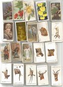 Cigarette card collection in yellow flowery tin. Some old may be hidden value. Good condition.