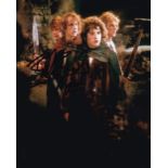 Billy Boyd Lord of The Rings Actor 10x8 inch Signed Photo. Good condition. All autographs come
