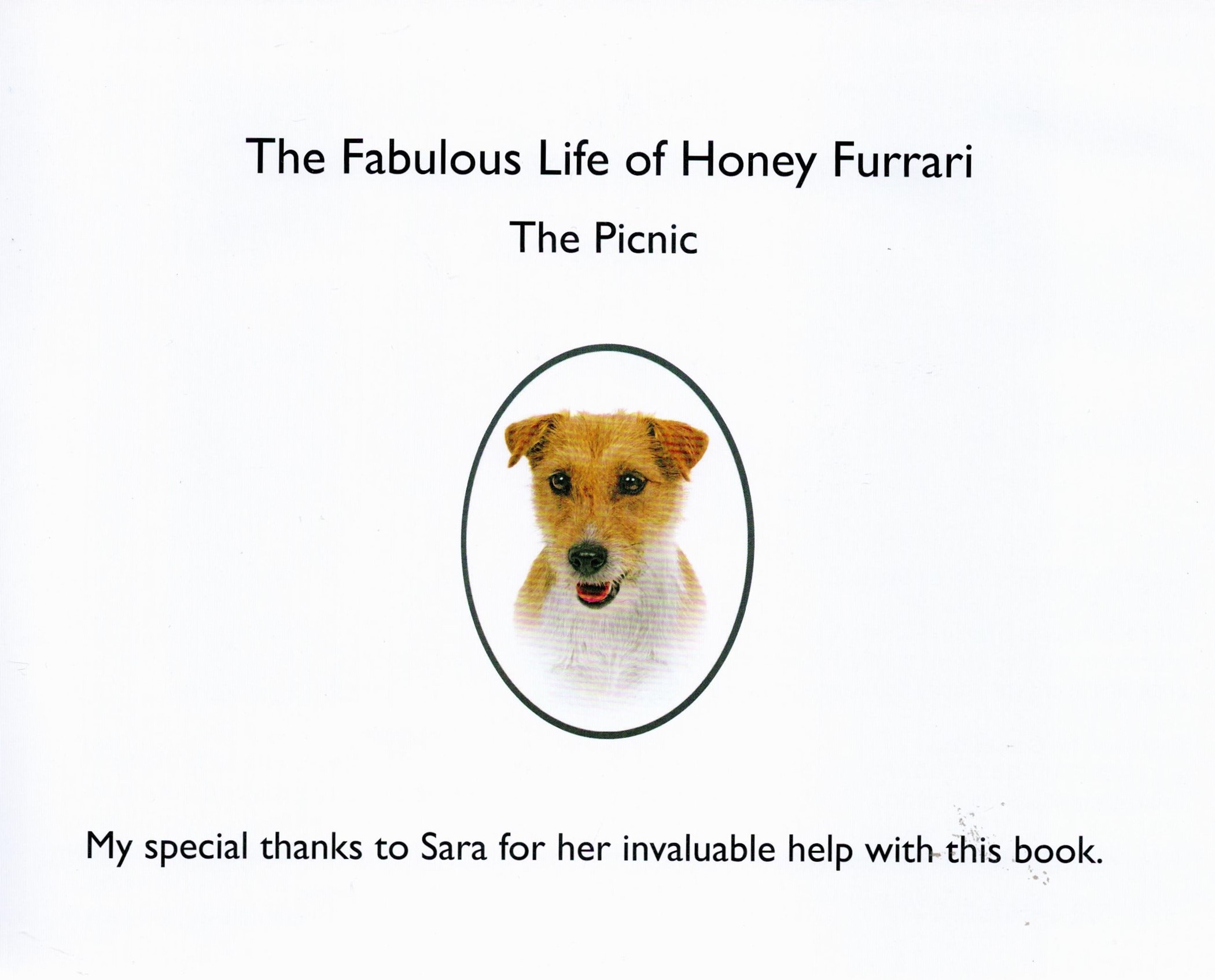 Signed Book Eileen Townend and Brooke West The Fabulous Life of Honey Furrari The Picnic 2010 - Image 4 of 5