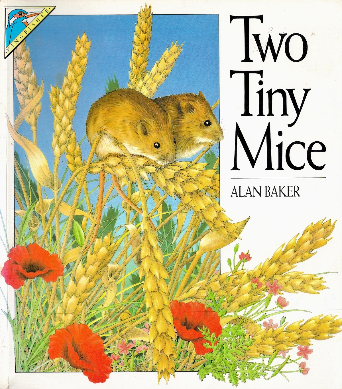 Signed Book Alan Baker Two Tiny Mice First Softback Edition 1992 Signed by Alan Baker on the Title
