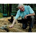 David Attenborough signed 10x8 colour photo. Good condition. All autographs come with a