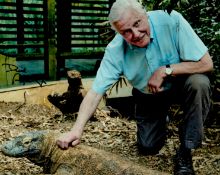 David Attenborough signed 10x8 colour photo. Good condition. All autographs come with a
