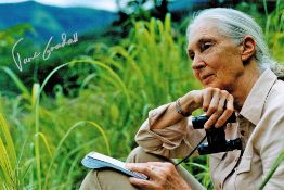 Jane Goodall signed 12x8 colour photo. Dame Jane Morris Goodall DBE (born Valerie Jane Morris-