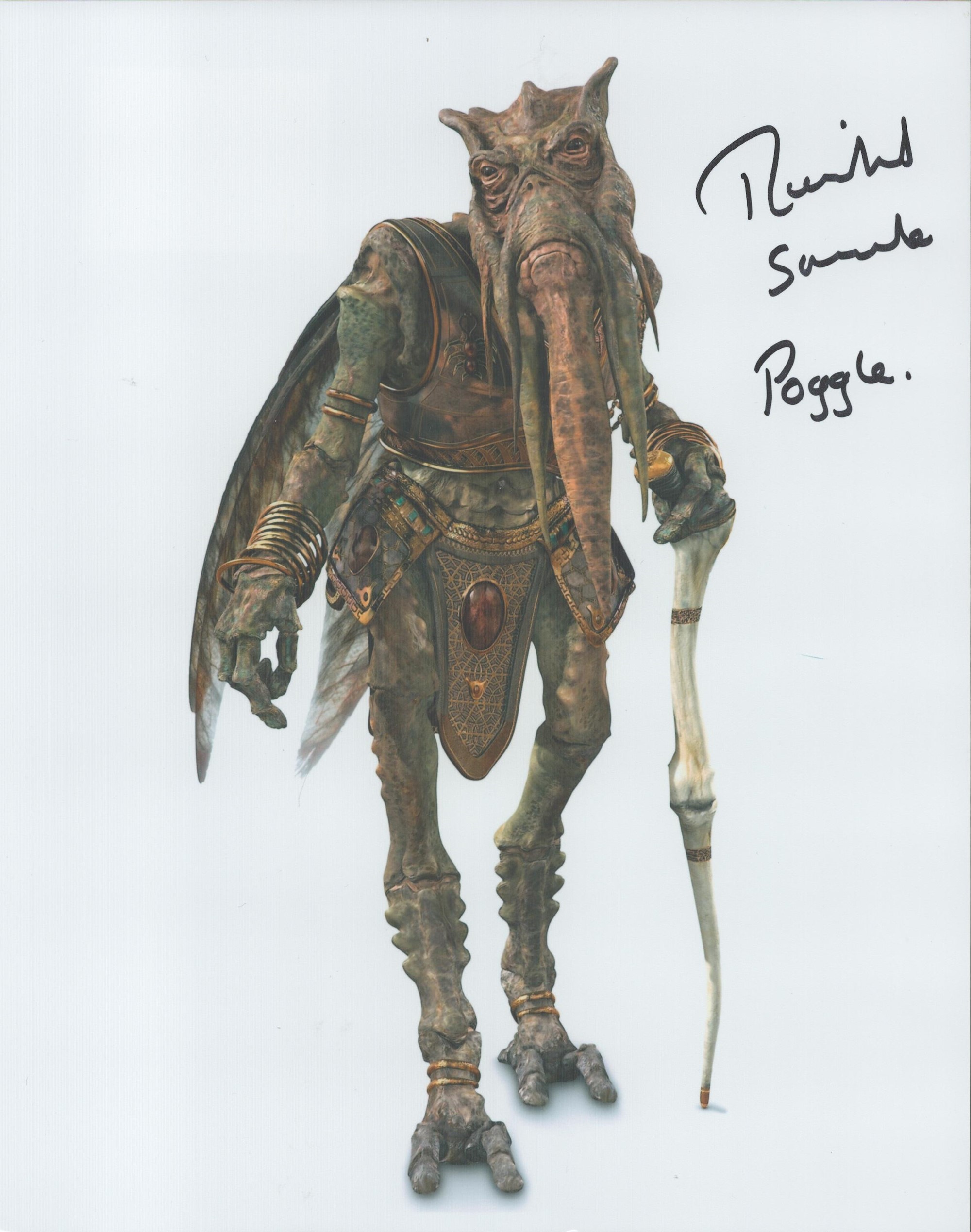 Star Wars Actor, Richard Stride signed 10x8 colour photograph. Stride is known for his work on