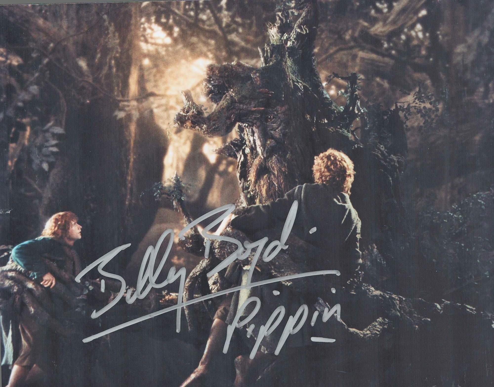 Lord Of The Rings Actor, Billy Boyd signed 10x8 photograph. Boyd (born 28 August 1968) is a Scottish