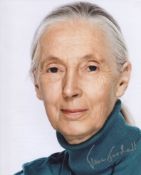 Jane Goodall signed 8x10 photo. Dr Goodall is seen as the world's foremost expert on Chimpanzees and