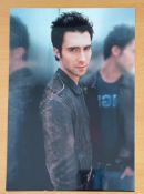 Adam Levine from Maroon 5 signed 10x7 colour photo. Good condition. All autographs come with a
