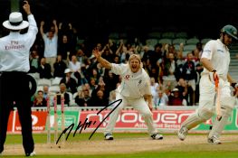 Cricket Mathew Hoggard signed 15x10 colour photo pictured in action for the 2005 Ashes. Good