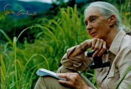 Jane Goodall signed 12x8 colour photo. Dame Jane Morris Goodall DBE ( born Valerie Jane Morris