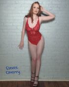 Playboy and glamour model Stevie Cherry signed 8x10 photo. Good condition. All autographs come