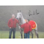 David Pipe Jockey Signed 6 x 8 photo. Good condition. All autographs come with a Certificate of