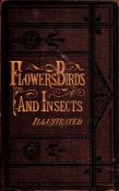 Flowers, Birds and Insects Illustrated by H G Adams Hardback Book date and edition unknown published