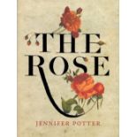 The Rose by Jennifer Potter Hardback Book 2010 First Edition published by Callisto and Atlantic