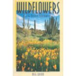 Wild Flowers of the Desert Southwest by Meg Quinn Softback Book 2000 First Edition published by