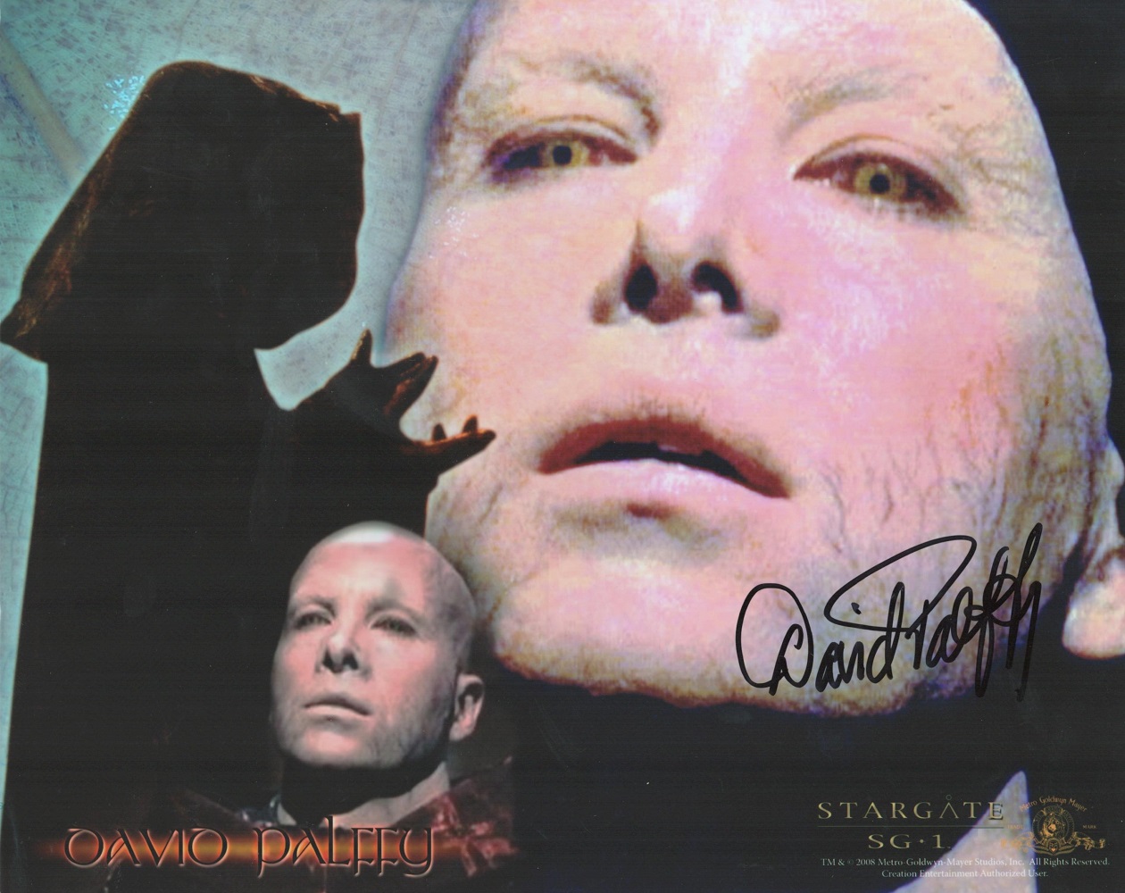 Stargate, David Palffy signed 10x8 colour promo photograph. Canadian film and television actor