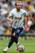 Harry Kane, Tottenham and England Footballer, 6x4 Signed Photo. Good condition. All autographs