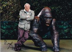 David Attenborough, Natural Historian and Film Maker, 8x6 Signed Photo. Good condition. All