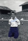 Autographed Tony Marchi 12 X 8 Photo Colorized, Depicting The Tottenham Wing Half Posing For