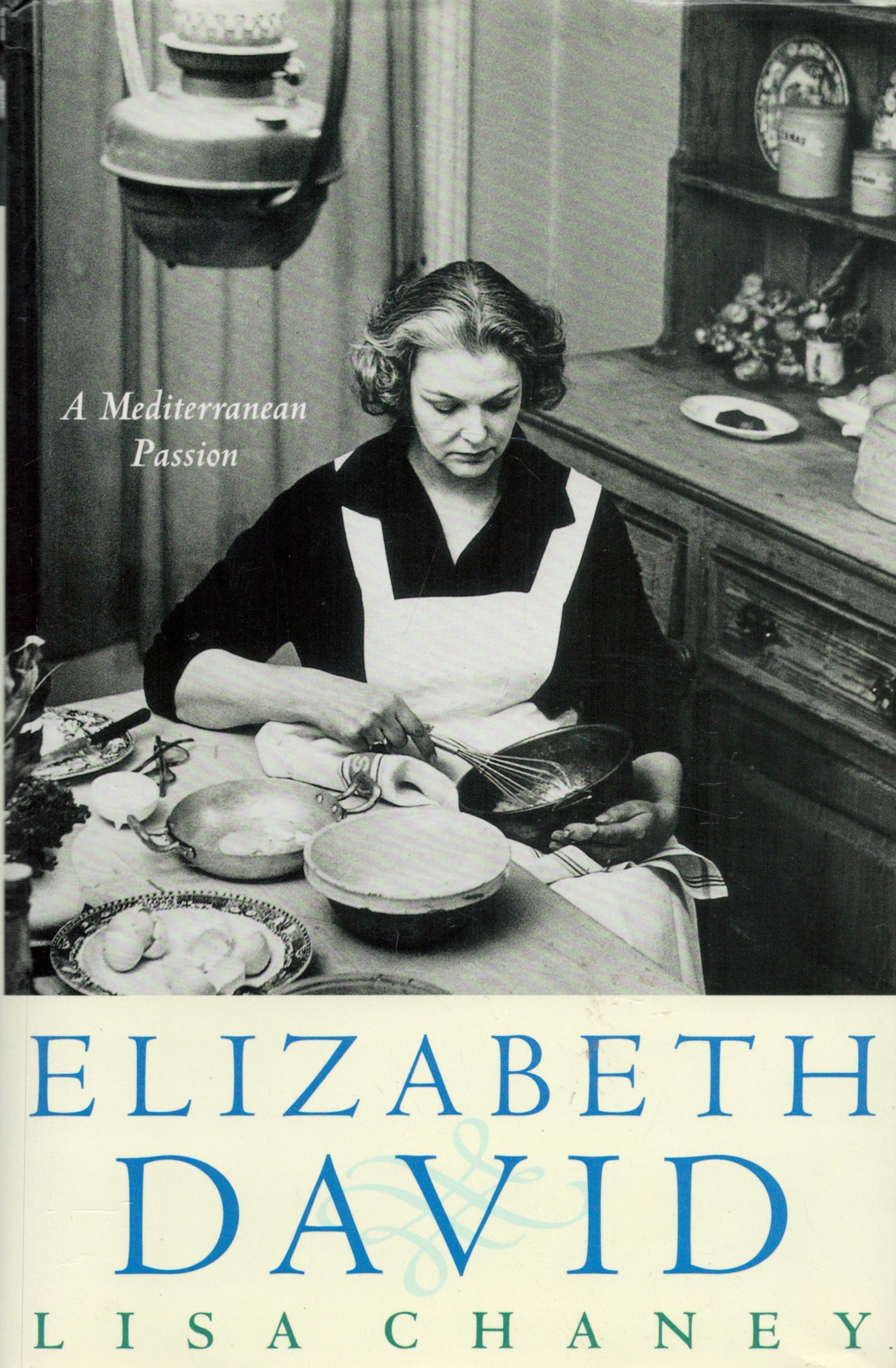 Elizabeth David A Mediterranean Passion A Biography by Lisa Chaney Hardback Book 1998 First