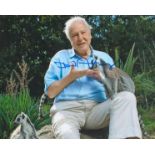 David Attenborough signed 10x8 colour photo. Sir David Frederick Attenborough (born 8 May 1926) is