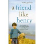 A Friend Like Henry by Nuala Gardner Hardback Book 2007 First Edition published by Hodder and