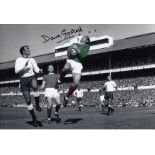 Autographed DAVE GASKELL 12 x 8 photo - Colz, depicting the Man United goalkeeper getting to the