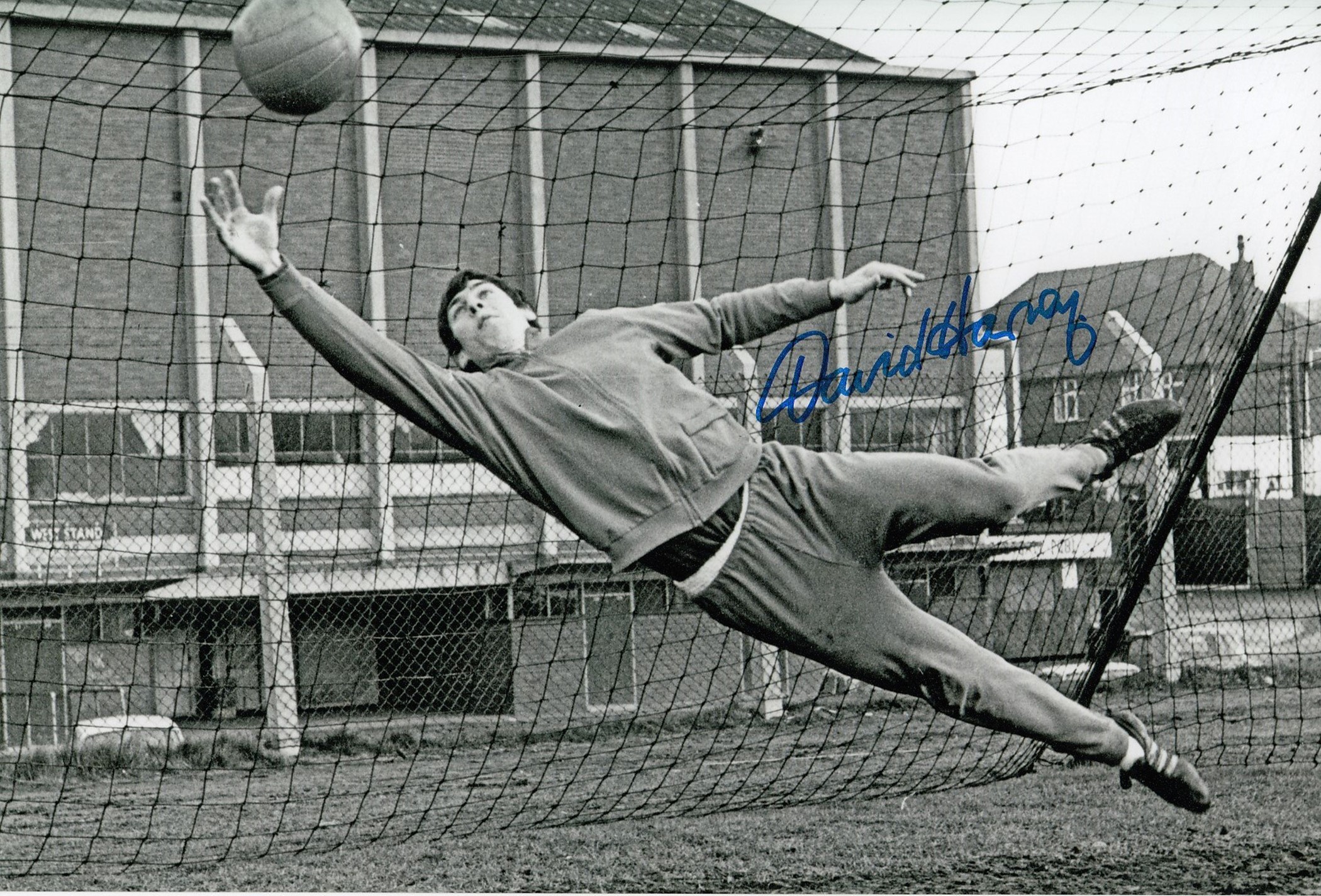 Autographed DAVID HARVEY 12 x 8 photo - B/W, depicting the Leeds United goalkeeper demonstrating a