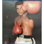Boxing Legend Muhammad Ali Signed 18 x 16 Inch Colour Photo. Damage to Foot of Photo (Refer to