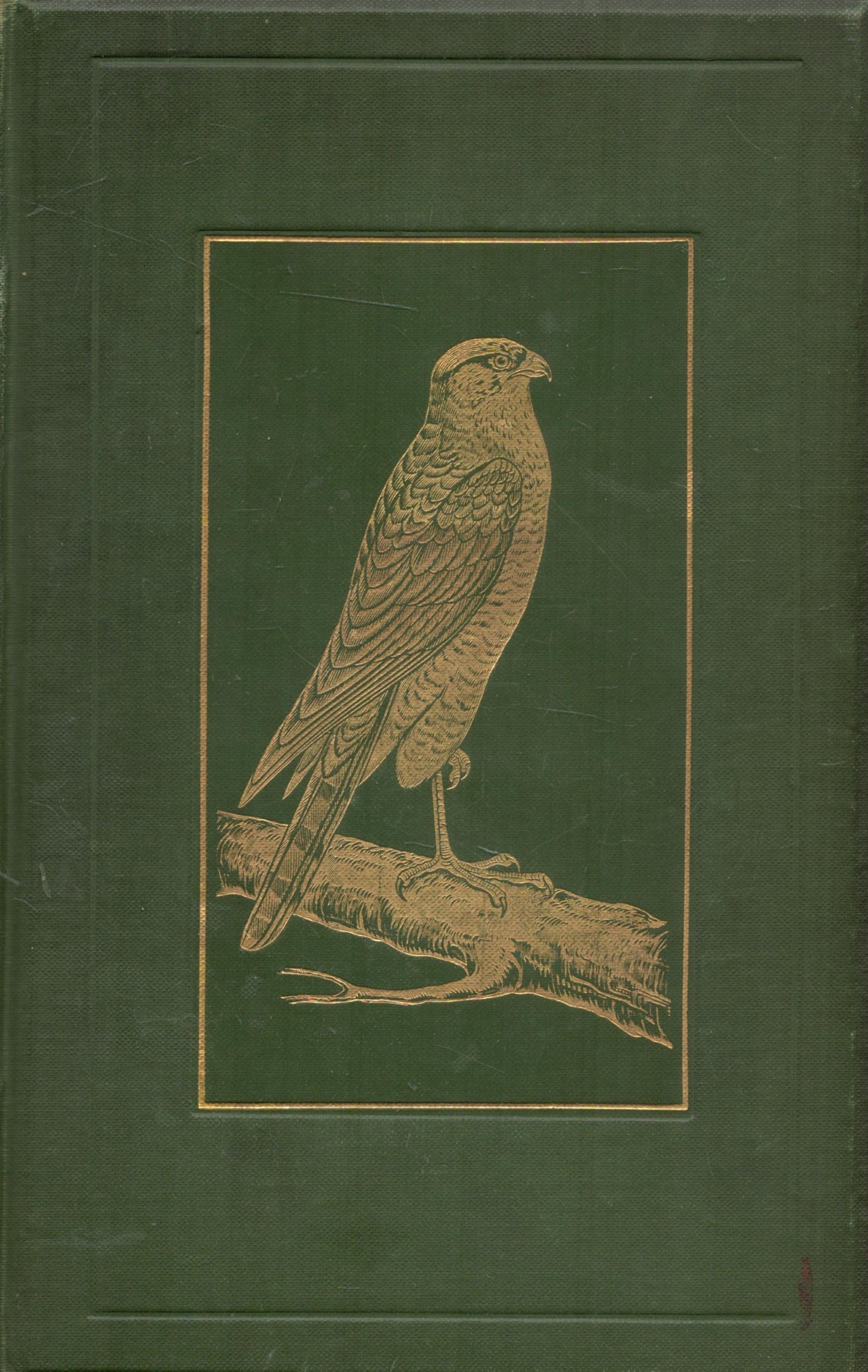 British Birds in Their Haunts by C A Johns 1910 Second Edition Hardback Book with 326 pages
