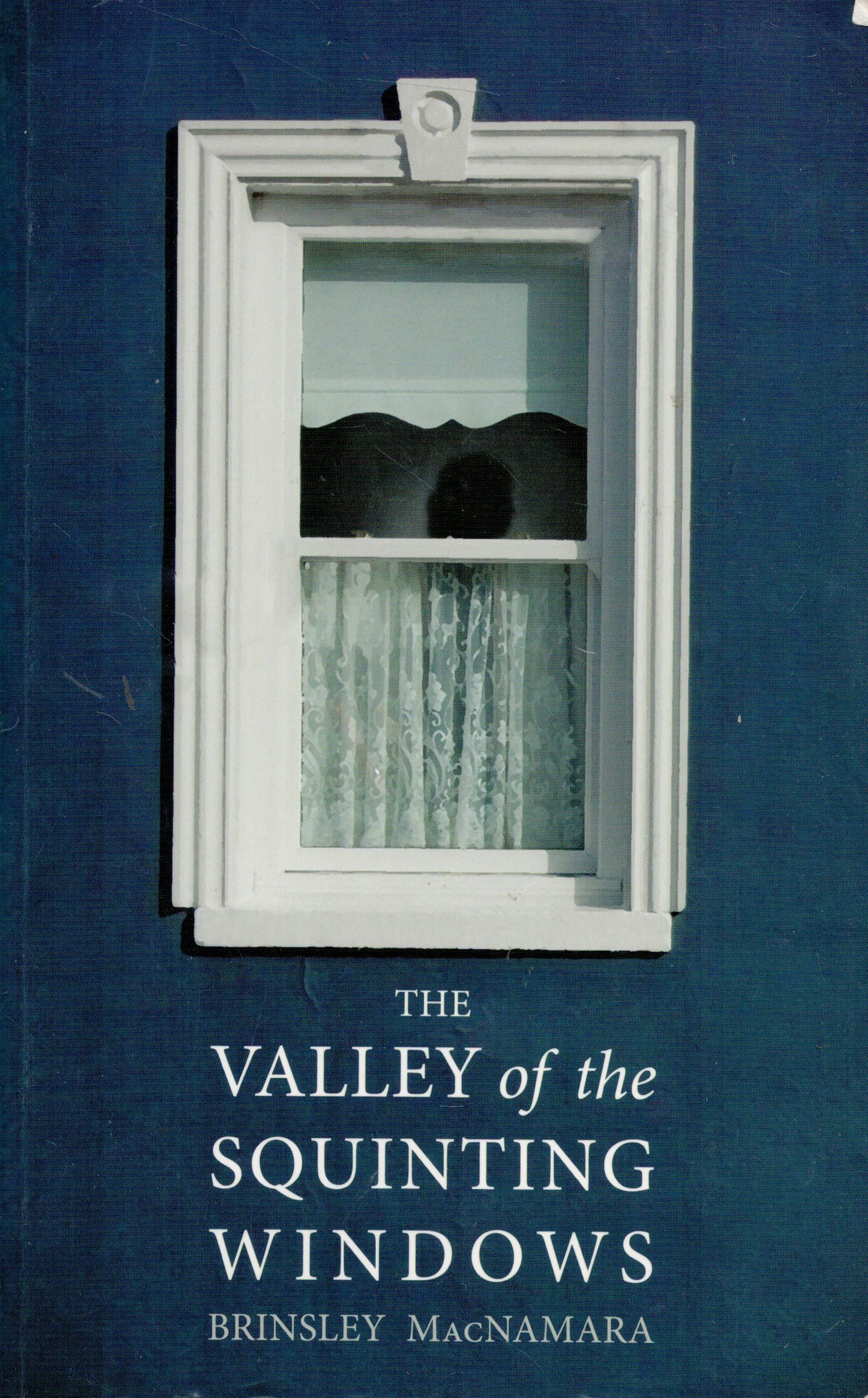 The Valley of the Squinting Windows by Brinsley MacNamara 2018 First Paperback Edition Softback Book