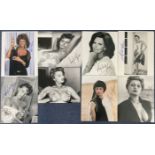 Sophia Loren Collection of 7 Signed 10x8 inch Photos. Some Colour Photos, Some Black and White.