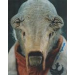 Paul Kasey signed 10x8 Star Wars colour photo. Good condition. All autographs come with a