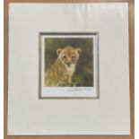 David Shepherd signed limited edition 10x10 tiger cub mounted piece. 164/1000. All autographs come