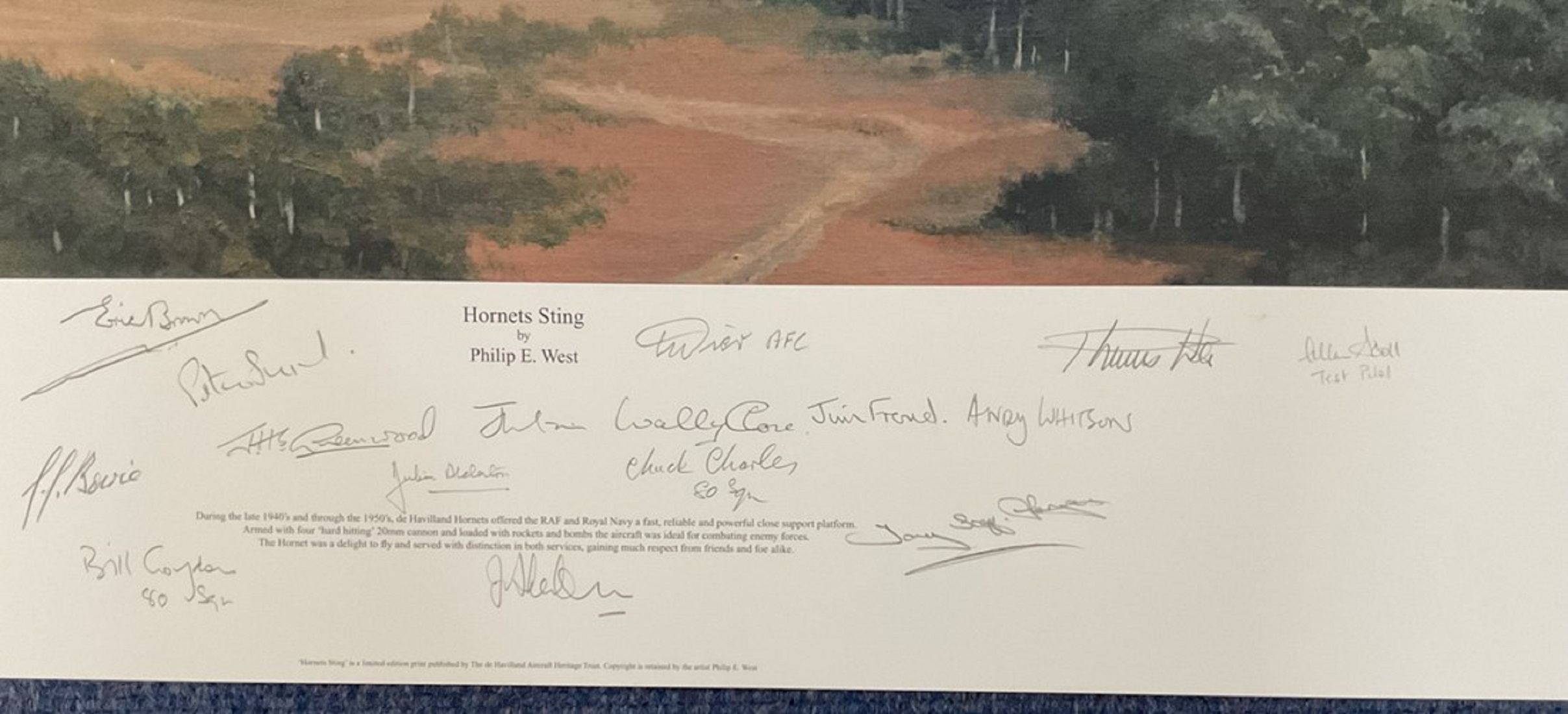 WW2 15 Signed Hornets Sting Colour Print by Philip E West. Signatures in Pencil include Captain Eric - Image 2 of 2